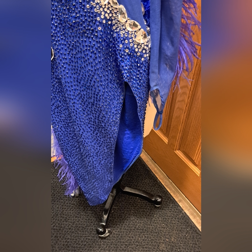 Blue Feather Ballroom Dress